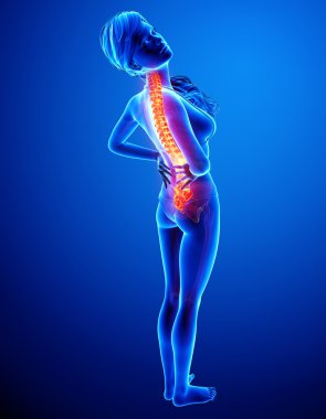 illüstrasyon insan omurga ağrısı mavi vurgulanan spinal kord ile