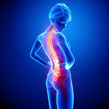 illüstrasyon insan omurga ağrısı mavi vurgulanan spinal kord ile