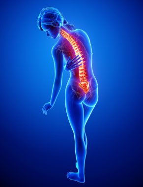 illüstrasyon insan omurga ağrısı mavi vurgulanan spinal kord ile