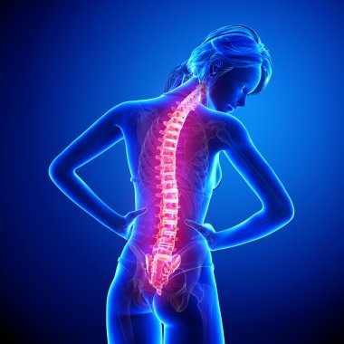 illüstrasyon insan omurga ağrısı mavi vurgulanan spinal kord ile