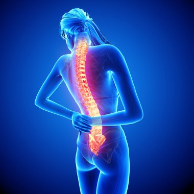 illüstrasyon insan omurga ağrısı mavi vurgulanan spinal kord ile