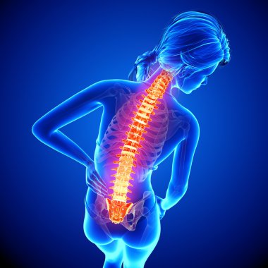 illüstrasyon insan omurga ağrısı mavi vurgulanan spinal kord ile