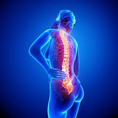 illüstrasyon insan omurga ağrısı mavi vurgulanan spinal kord ile