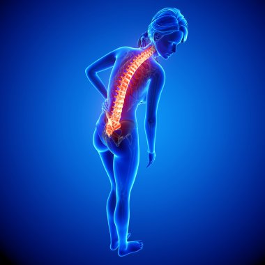 illüstrasyon insan omurga ağrısı mavi vurgulanan spinal kord ile