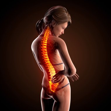 illüstrasyon insan omurga ağrısı vurgulanan spinal kord ile