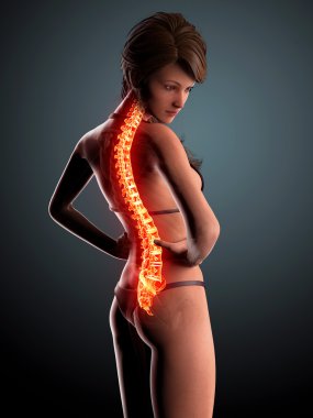illüstrasyon insan omurga ağrısı vurgulanan spinal kord ile