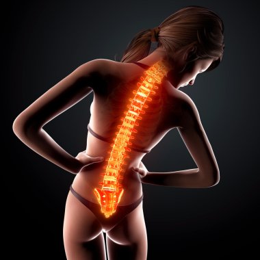 illüstrasyon insan omurga ağrısı vurgulanan spinal kord ile