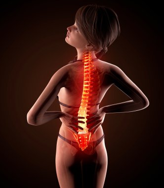 illüstrasyon insan omurga ağrısı vurgulanan spinal kord ile