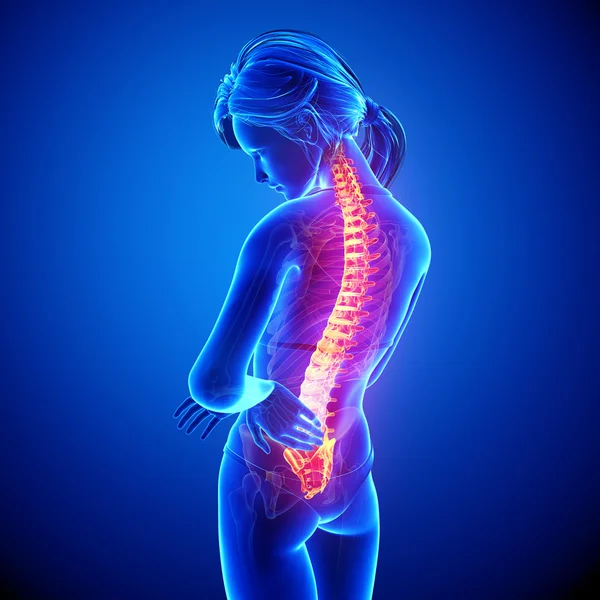 Illustration menschlicher Rückenschmerzen mit hervorgehobenem Rückenmark in blau — Stockfoto