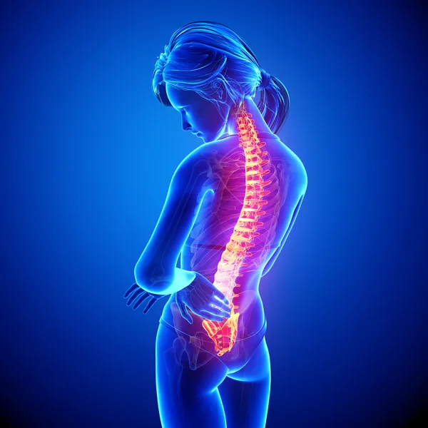 illüstrasyon insan omurga ağrısı mavi vurgulanan spinal kord ile