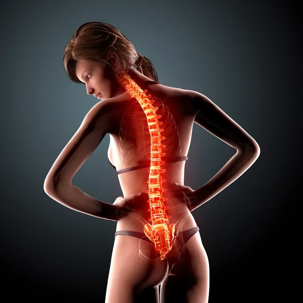 Illustration of human spine pain with highlighted spinal cord — Stock Photo, Image