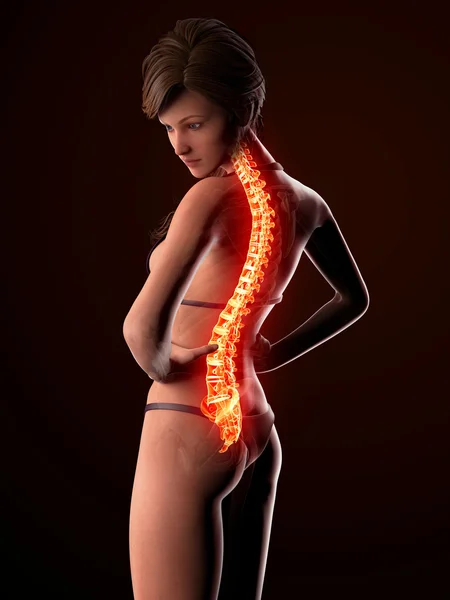 Illustration of human spine pain with highlighted spinal cord Royalty Free Stock Photos