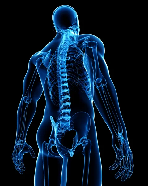 Anatomie von Rückenschmerzen — Stockfoto