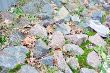 Eklemlerinde yeşil yosun olan taş duvar.