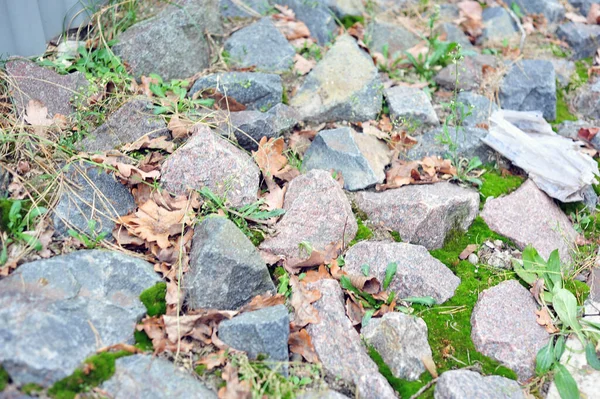 Eklemlerinde yeşil yosun olan taş duvar.