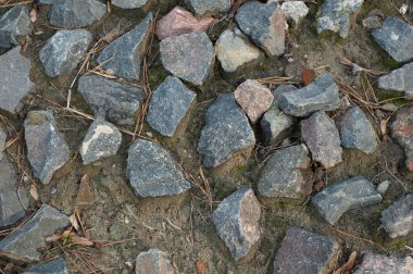 Eklemlerinde yeşil yosun olan taş duvar.