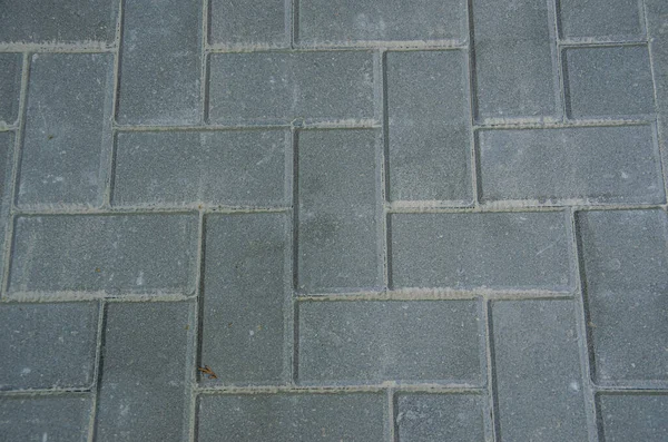 Боковой Текстурированный Фон Тротуарная Плитка — стоковое фото
