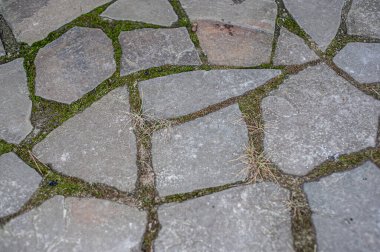 Eklemlerinde yeşil yosun olan taş duvar.