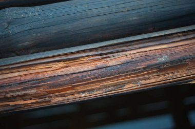 Düğümlü ve tırnak delikli klasik ahşap arkaplan deseni paneli