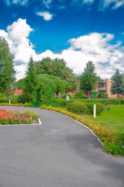 Yağmurdan sonra koşu şeridi. Park çimeni doğası.