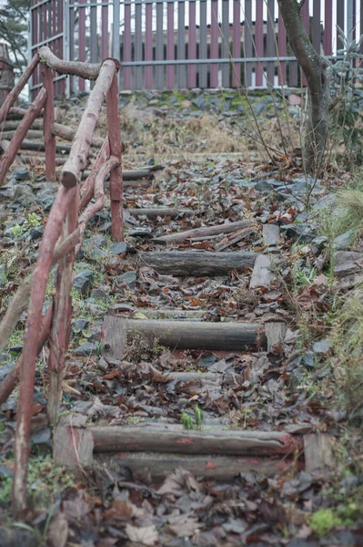 Uma Escada Artesanal Amadora Madeira Pinho Velho — Fotografia de Stock