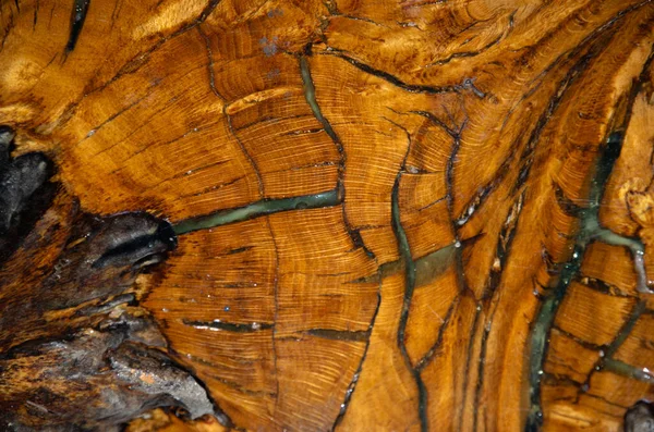 Drewno Makro Powlekaniu Żywicą Epoksydową Proces Wytwarzania Żywicy Rzemiosła Drewna — Zdjęcie stockowe