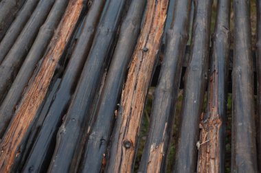 Düğümlü ve tırnak delikli klasik ahşap arkaplan deseni paneli