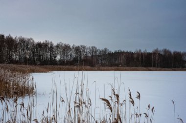 Kış mevsiminde donmuş bir tayga ormanının arasında karla kaplı buz nehrinin dev manzarası..