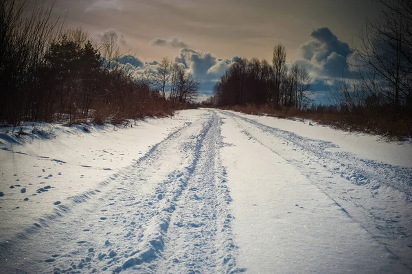 Зимовий парк був вкритий снігом. Дерева, кущі, земля, доріжки - все покрито білосніжним снігом . — стокове фото