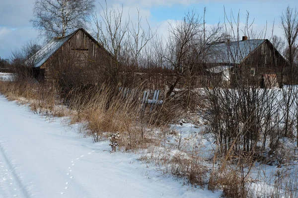 Ancienne Maison Abandonnée Bois Côté Une Route Dans Nord Russie — Photo