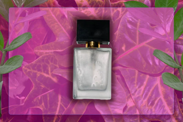 レイアウトのための香水瓶の最小限の組成 緑の葉を背景に透明なガラス製のボトル 新鮮な夏の香水を宣伝するためのアイデア — ストック写真