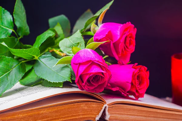 一朵红玫瑰 背景是黑色的 有一本书 点着一支炽热的蜡烛 从上面燃烧着的蜡烛与新鲜的红色与一朵玫瑰在书的黑色背景 — 图库照片#