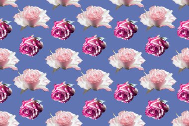 Pembe gül suluboya desenli dikişsiz arkaplan mavisi.