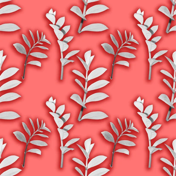 Seamless Pattern Scented Fragrant Trendy Pale Red Aster — Stock Photo, Image