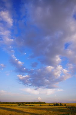 Gün batımında alan