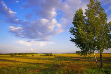 Moskova yakınlarındaki manzara