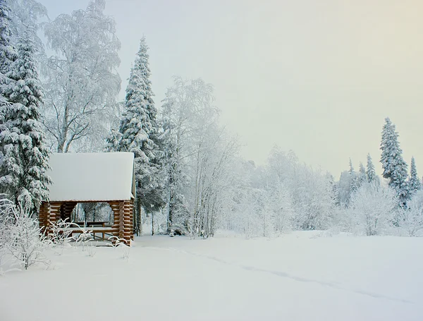 Зимний пейзаж Стоковое Фото