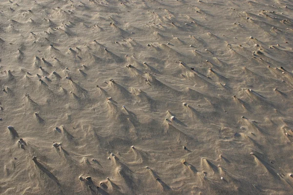 Vind-made sand skulpturer vid havet — Stockfoto