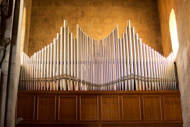 Boru organ