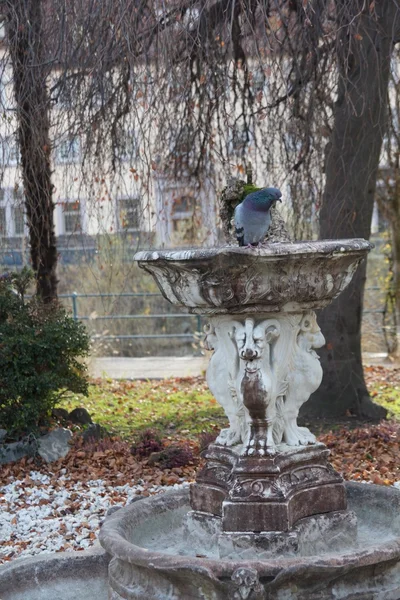 Őszi castle — Stock Fotó