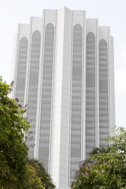 ayrıntılı bir bina