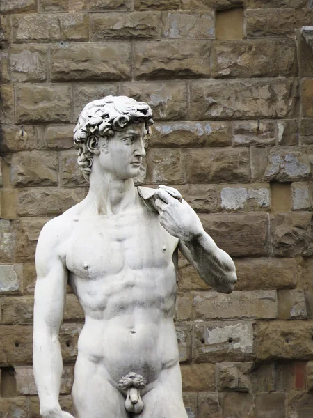 David Michelangelo — Stok fotoğraf