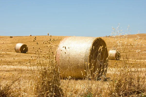Bale of Hay — Stock Photo, Image
