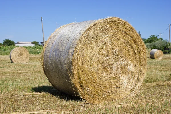 Bale of Hay — Stock Photo, Image