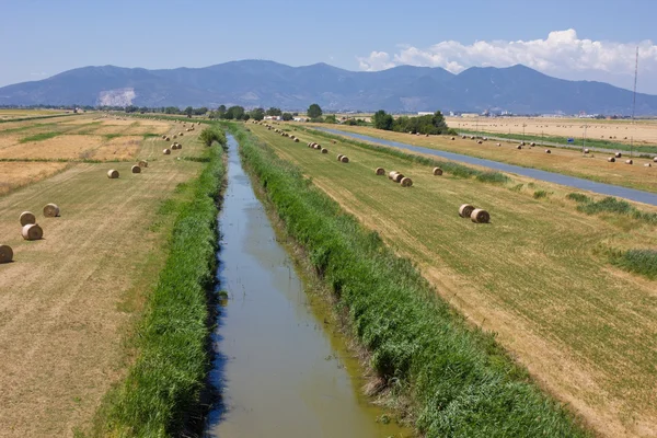 Bale de heno en campo de rastrojos de agricultura de verano — Foto de Stock