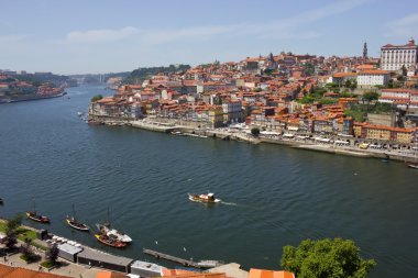 Douro river and Porto clipart
