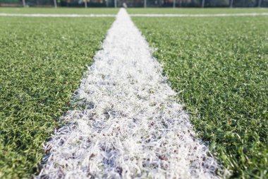 Futbol Çim