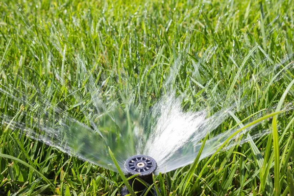 Tuin sprinkler — Stockfoto