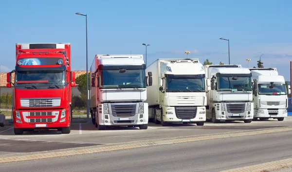 Arka arkaya kamyonlar