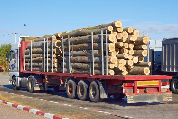 Vrachtwagen met logs — Stockfoto